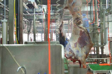 南宫NG·28(中国)相信品牌力量,南宫28娱乐相信品牌的力量,南宫NG28平台网站食品 南宫NG·28(中国)相信品牌力量,南宫28娱乐相信品牌的力量,南宫NG28平台网站食品